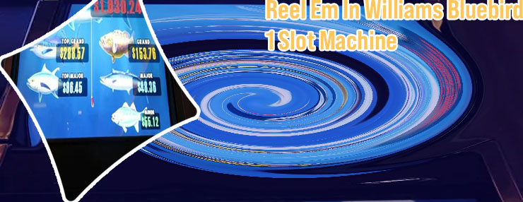 Reel em in slot machine
